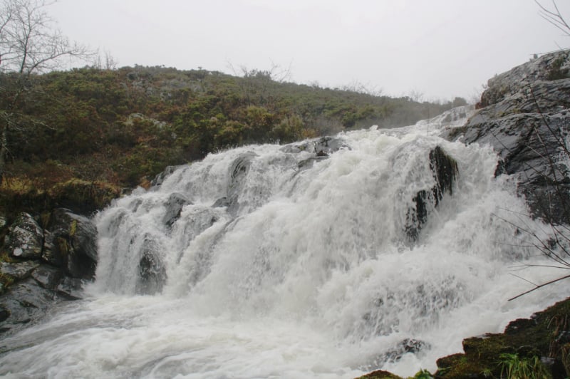 Fervenza de Castriz