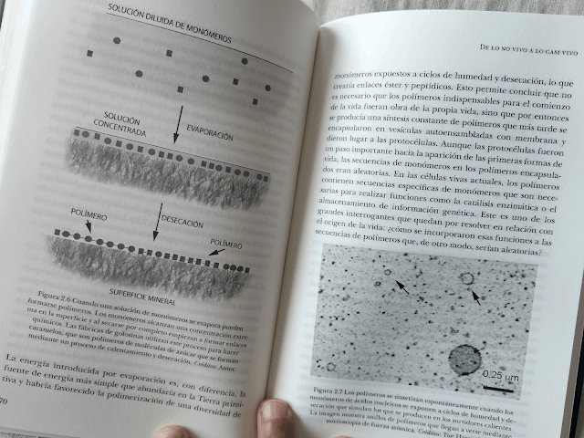 El origen de la vida