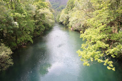 Río Eume