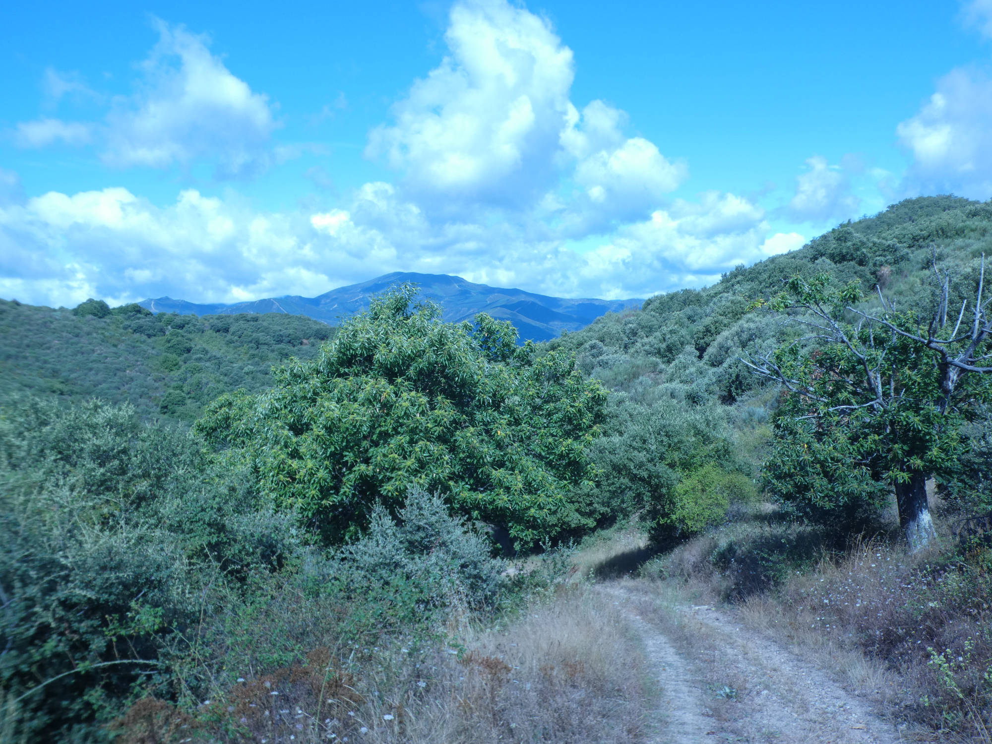 Parque natural de Serra de Enciña da Lastra