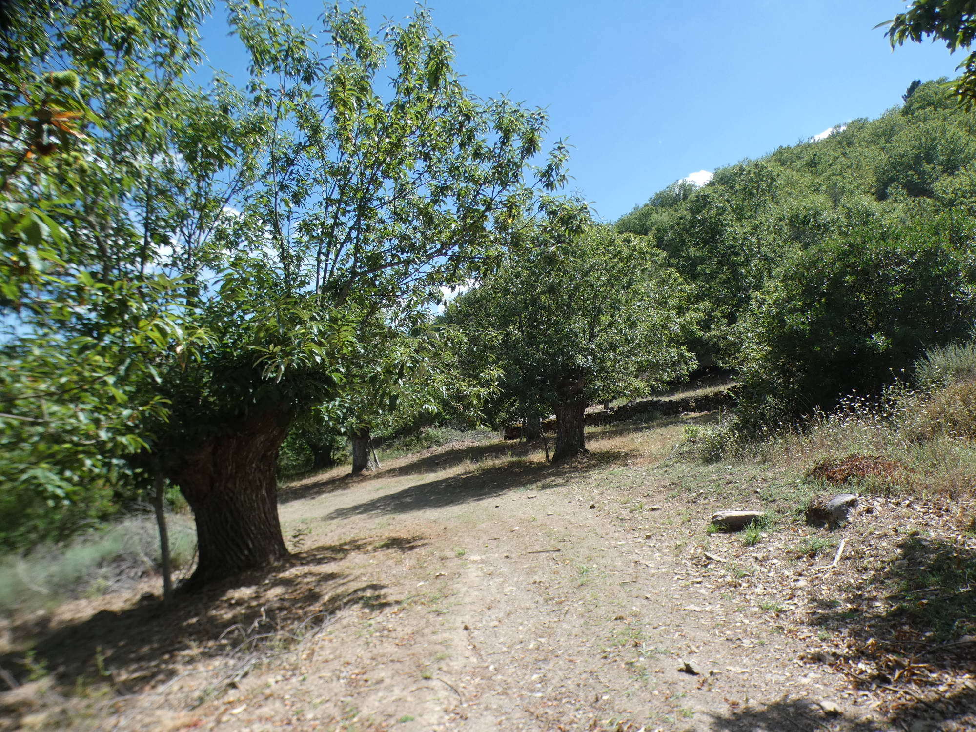 Parque natural de Serra de Enciña da Lastra