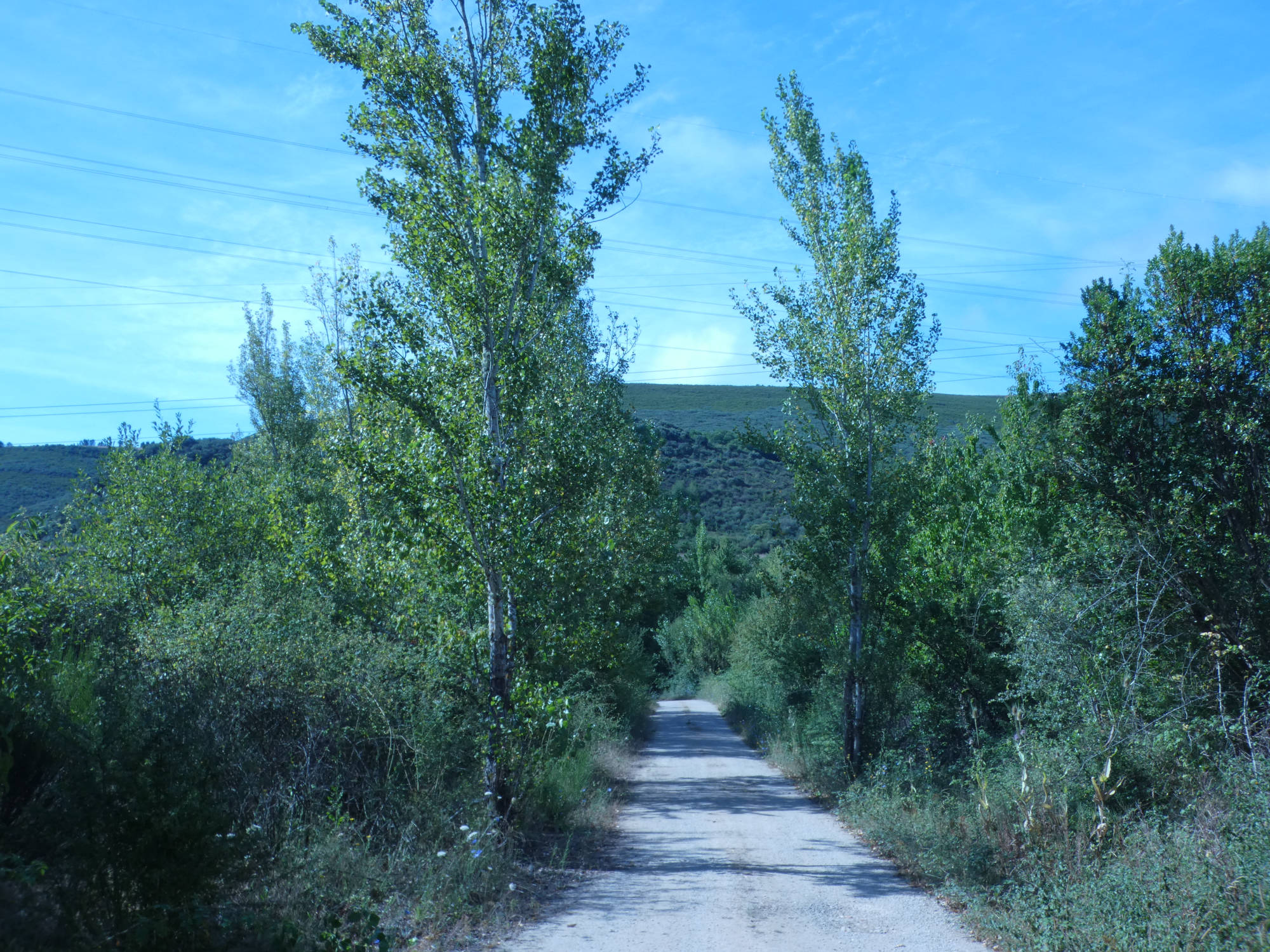 Parque natural de Serra de Enciña da Lastra