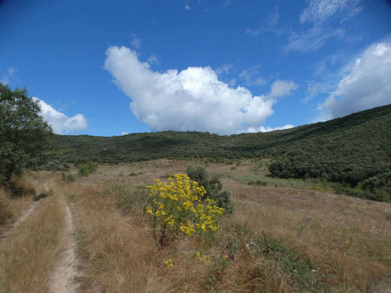 Parque natural de Serra de Enciña da Lastra