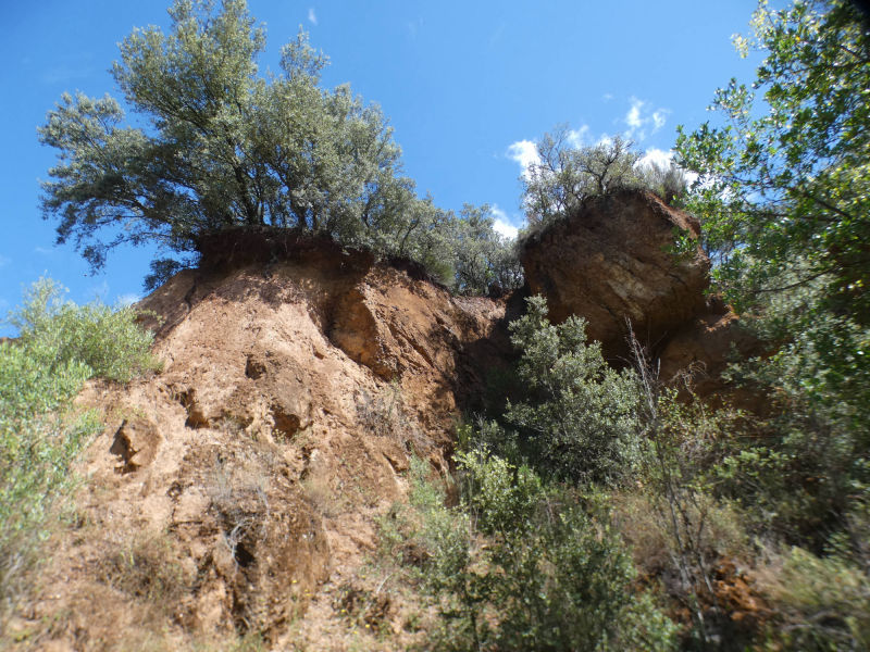 Parque natural de Serra de Enciña da Lastra