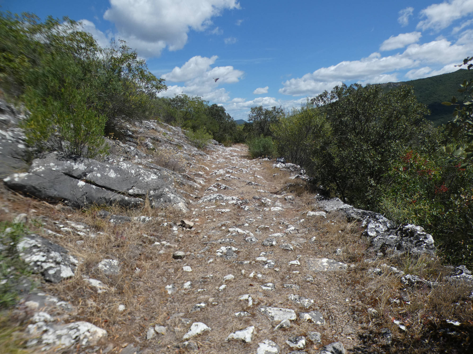 Parque natural de Serra de Enciña da Lastra