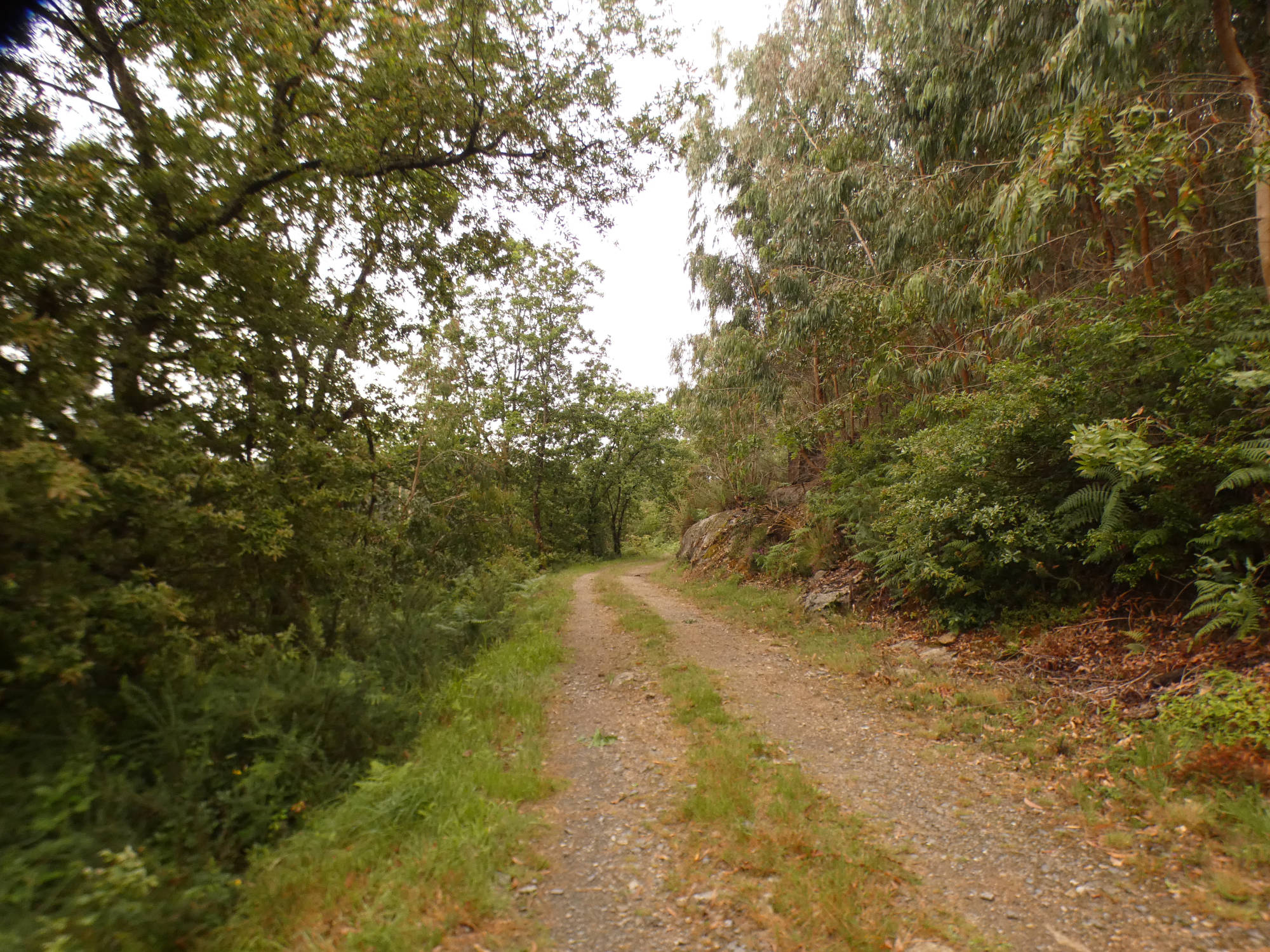 Ruta dos muíños do rego das Gándaras