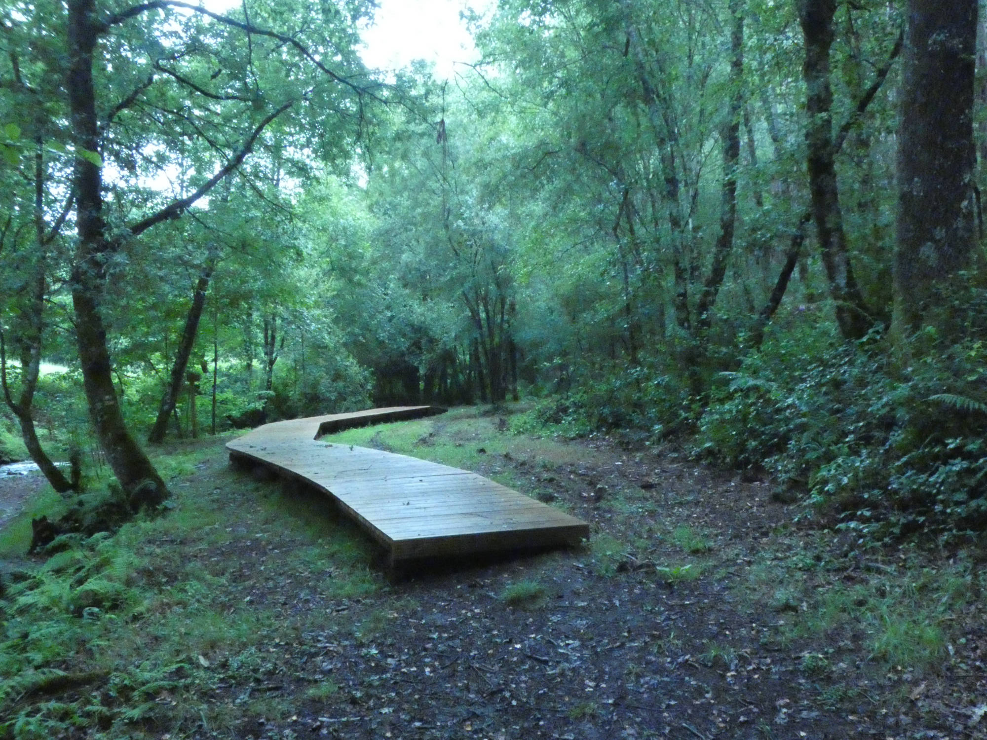 Ruta dos muíños do rego das Gándaras