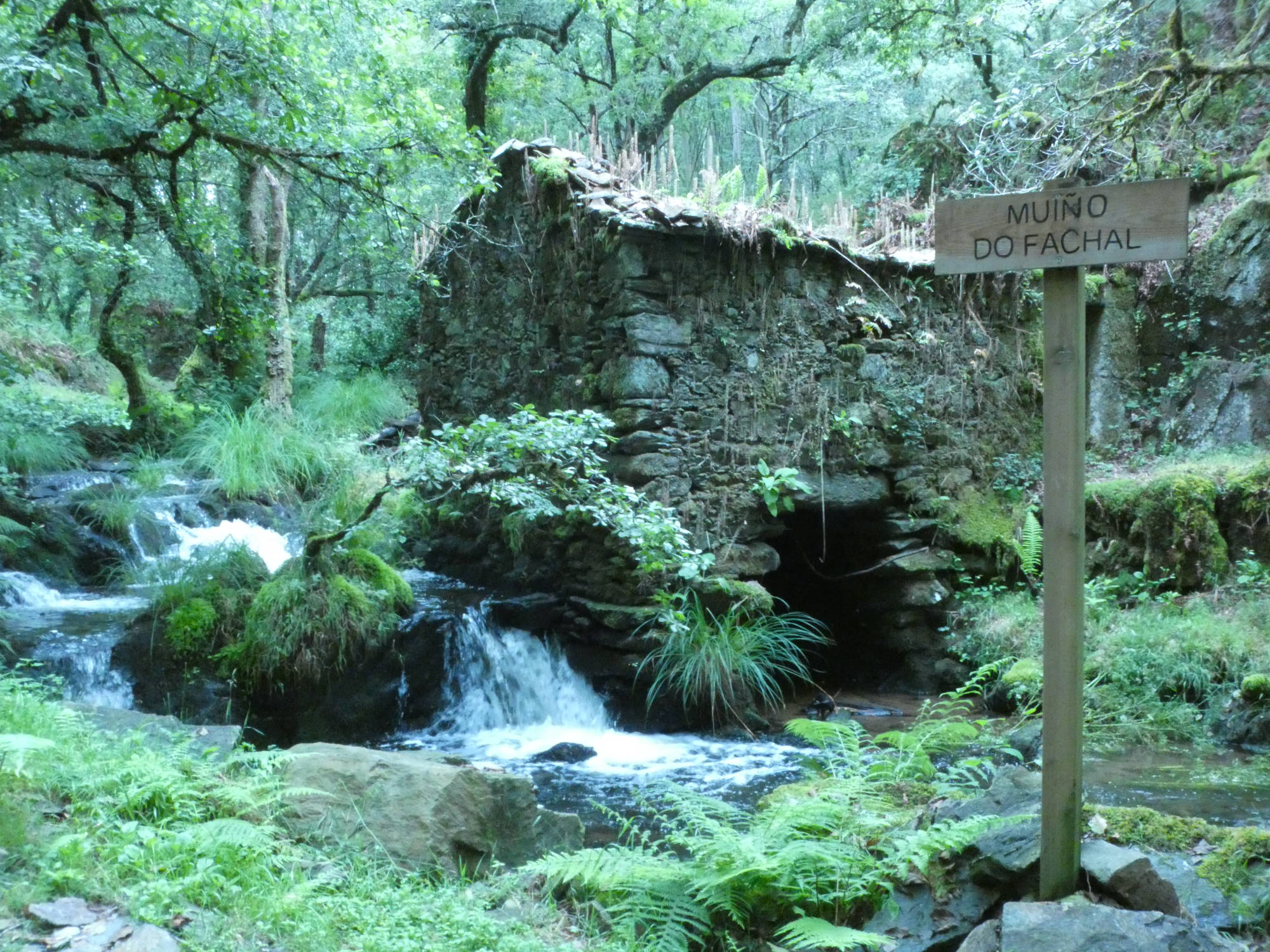 Ruta dos muíños do rego das Gándaras