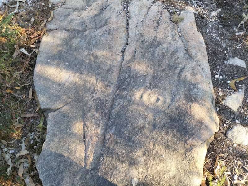 Petroglifos de Arteixo