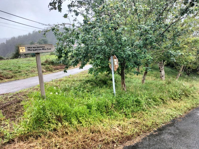 Río Sor: de Ulló a Morgallón