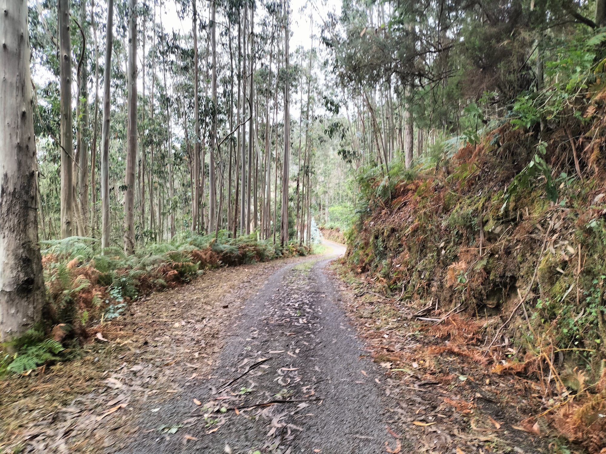 Río Sor: de Ulló a Morgallón