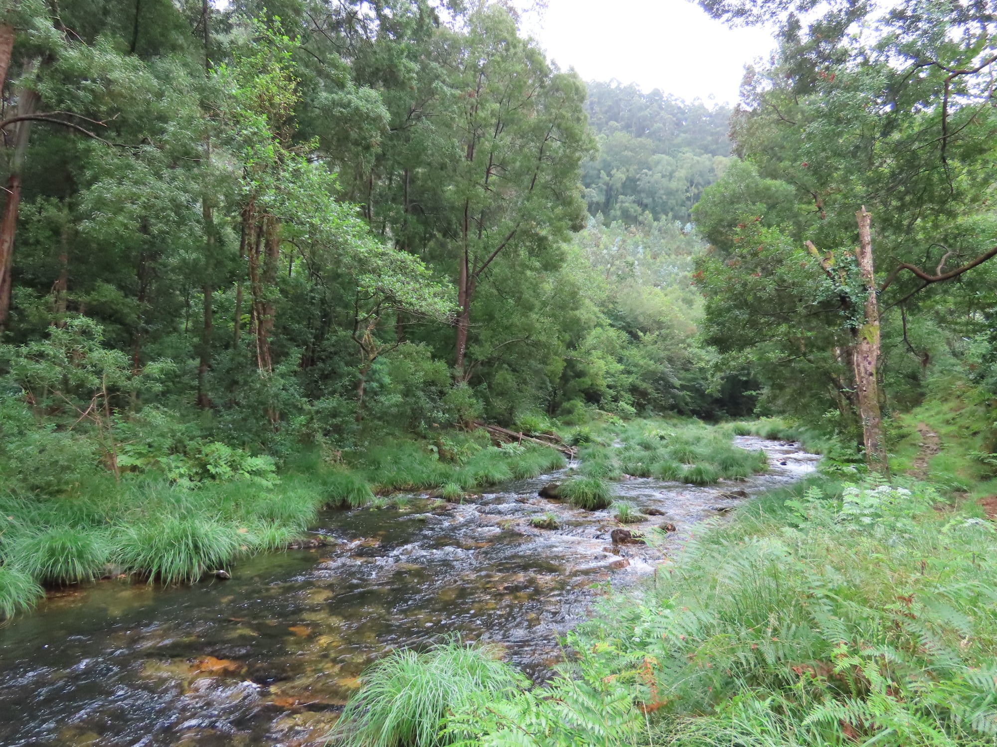 Río Sor: de Ulló a Morgallón