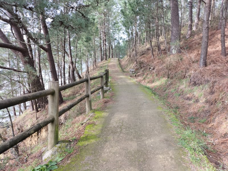 Ruta dos carpinteiros cos pés mollados