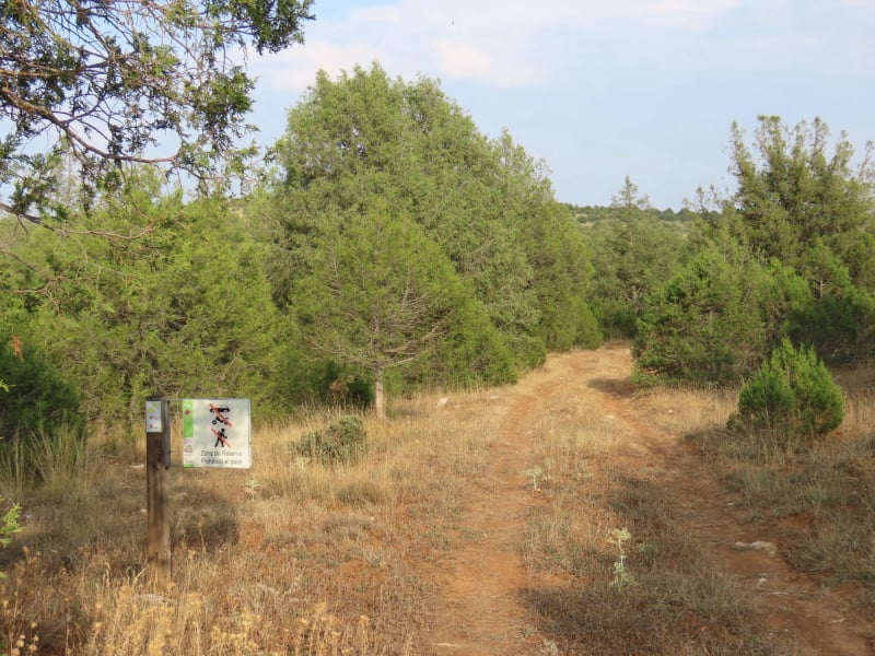 Senda de las tenadas de Valdevacas