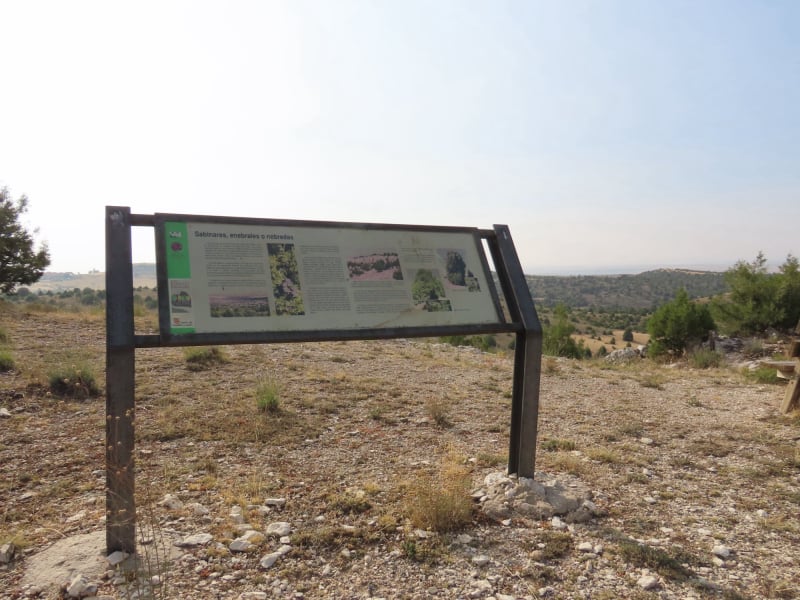 Senda de las tenadas de Valdevacas