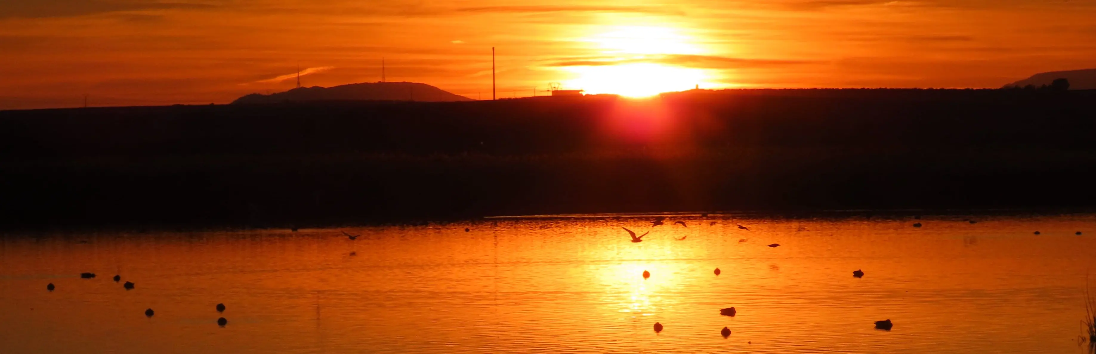 Lagunas de Alcázar de San Juan