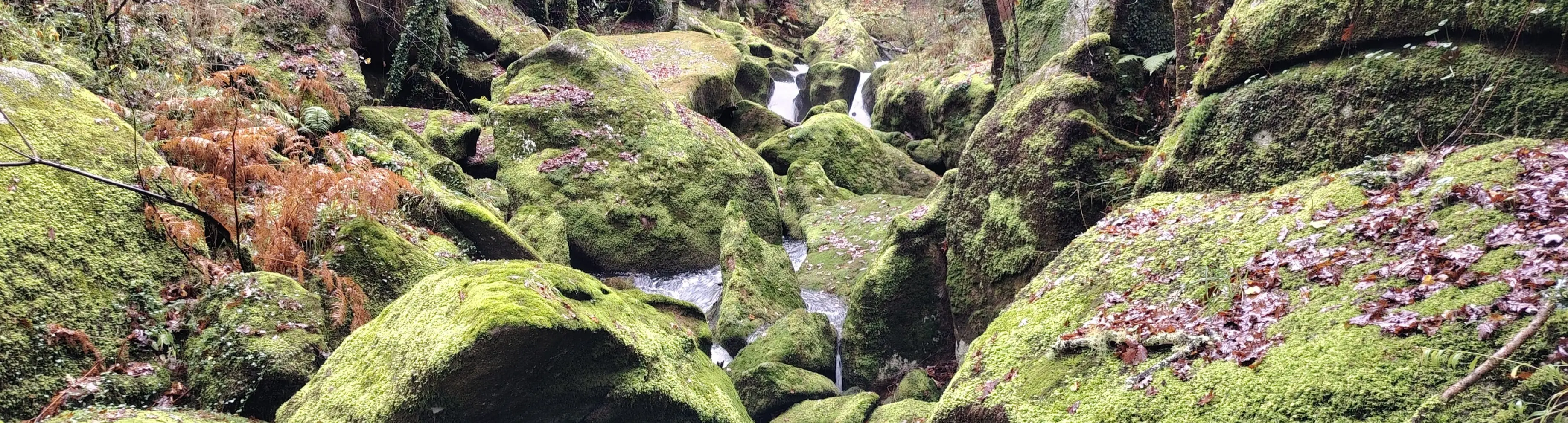 Senda do río cuberto