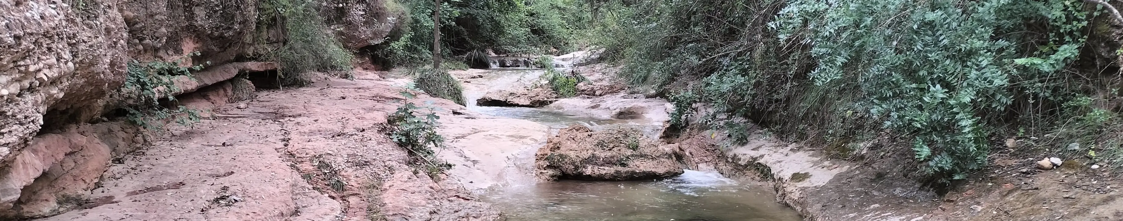 SL-C 66 Les mil Fonts de la riera de Nespres en Mura