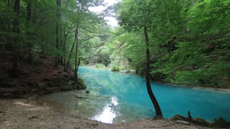 Nacedero del Urederra