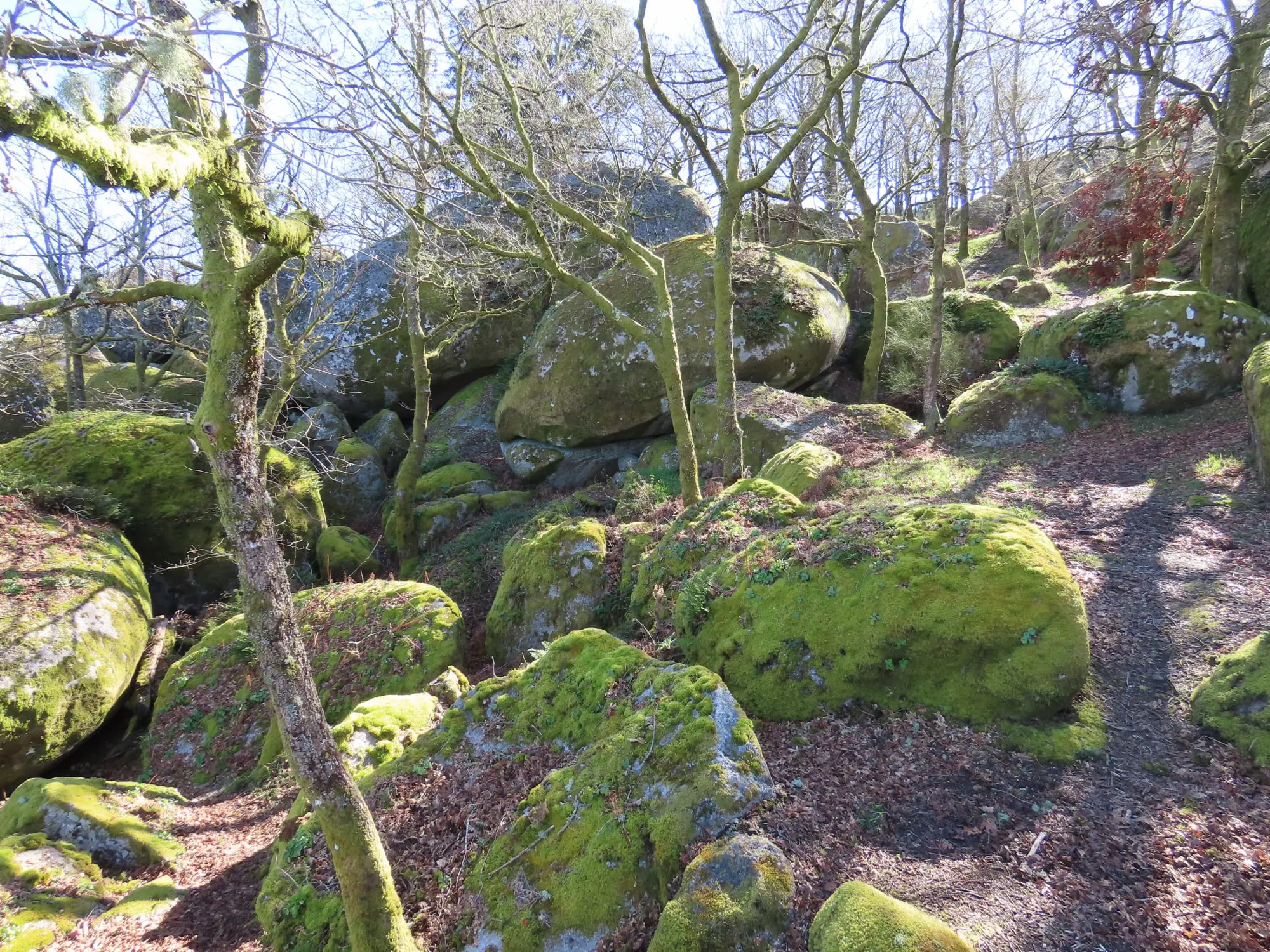 Miradores de Pena Corneira