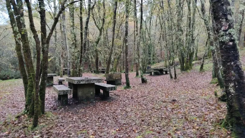 Senda do río cuberto