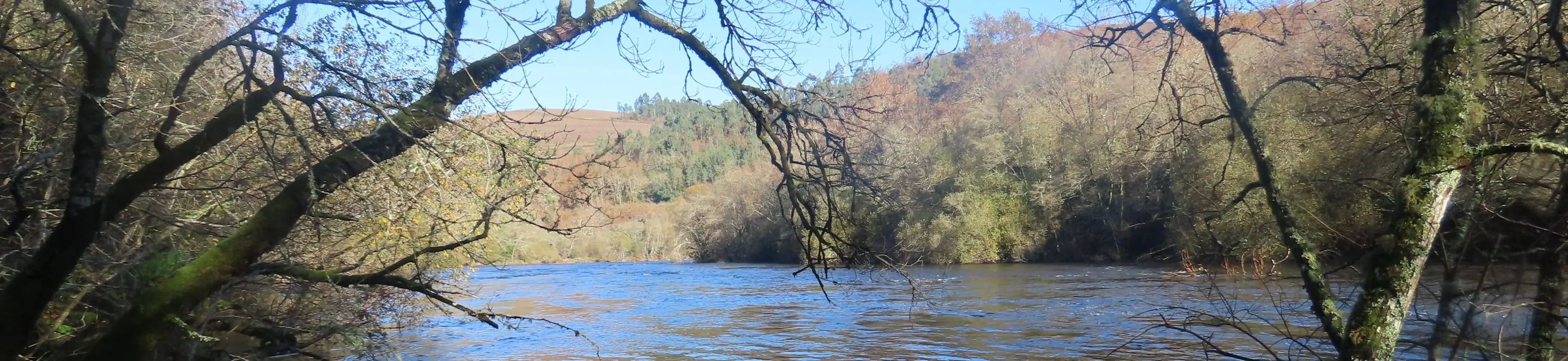 PR-G 196: Ruta de Castro