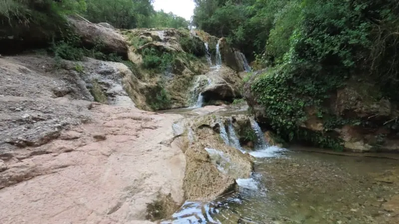 SL-C 66 Les mil Fonts de la riera de Nespres en Mura