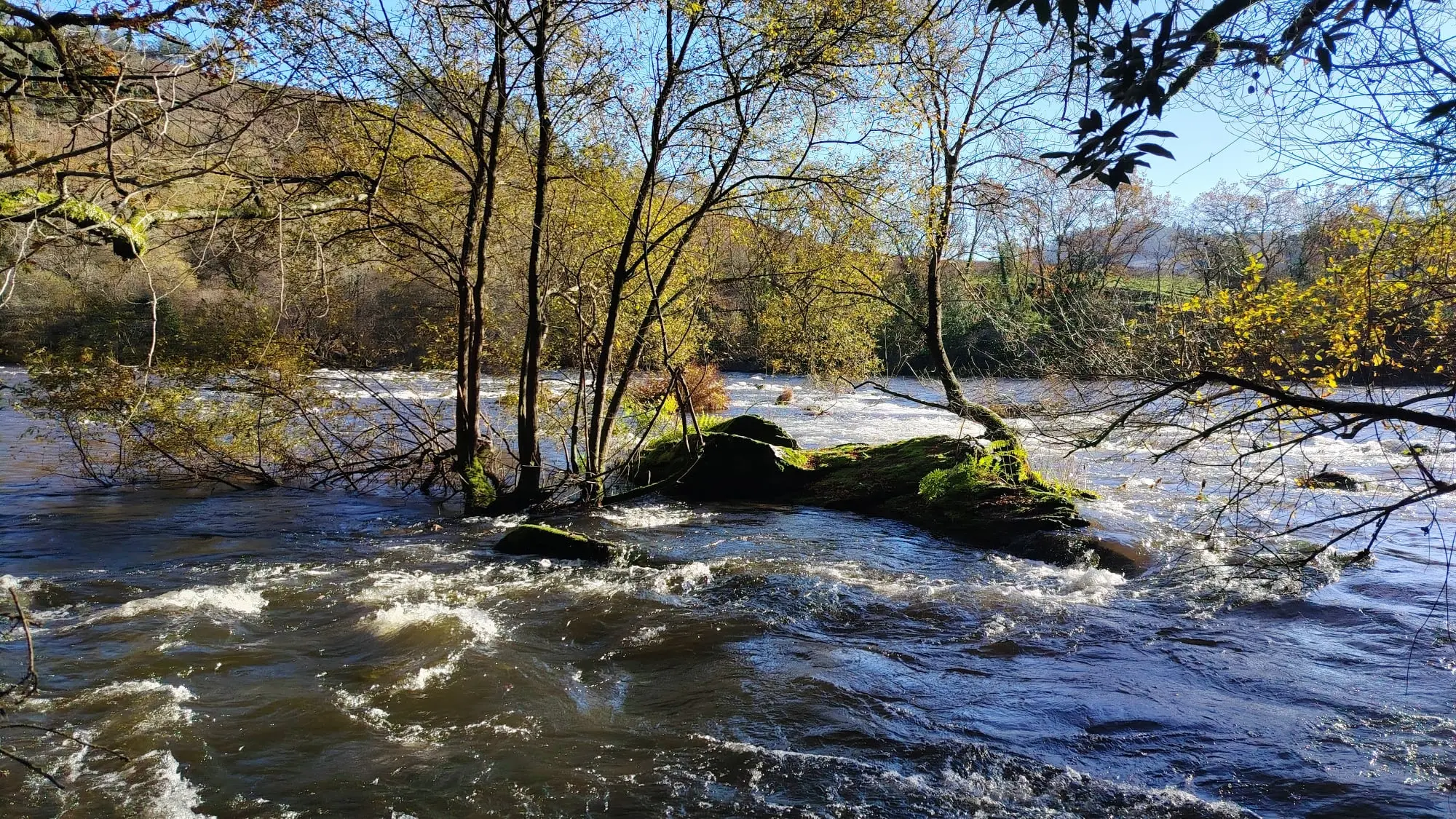 PR-G 196: Ruta de Castro