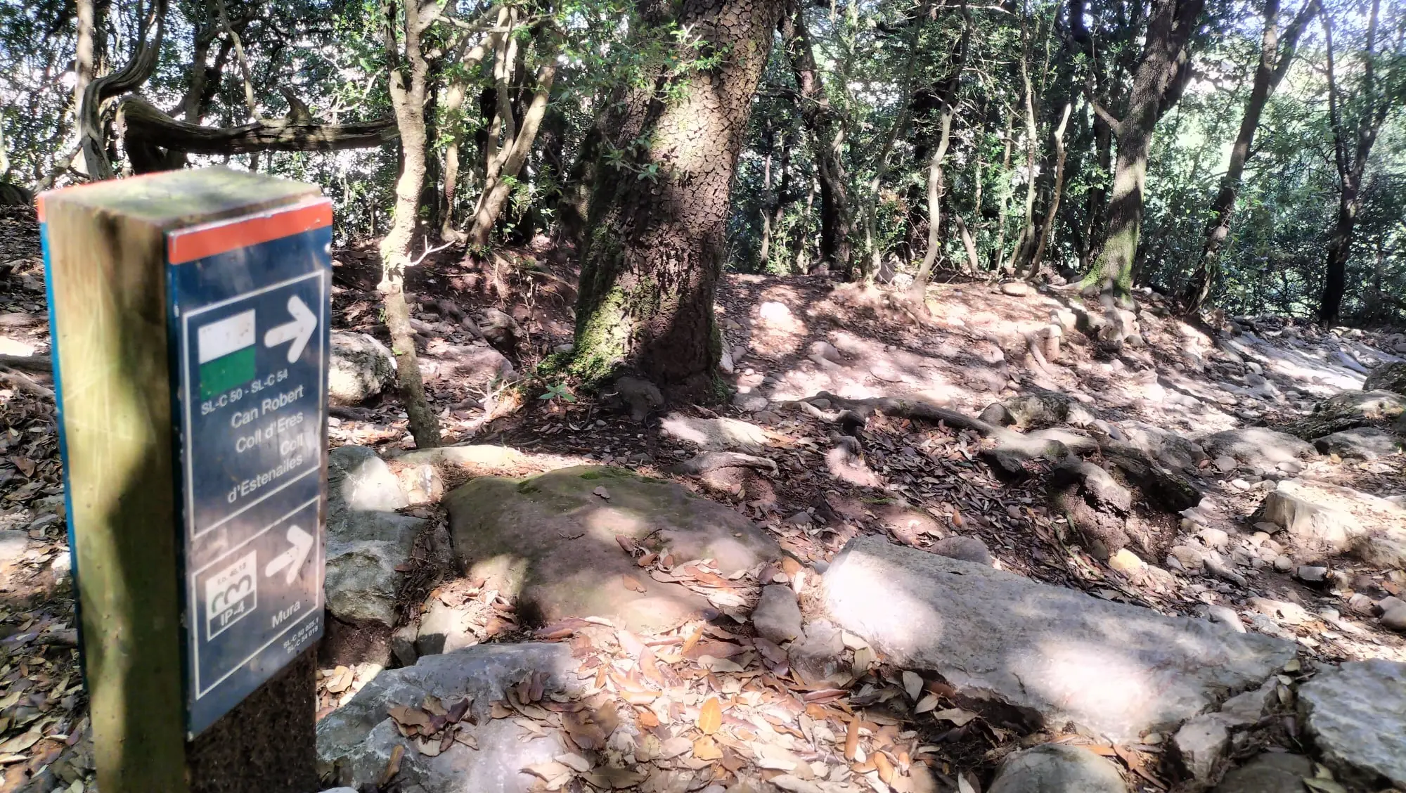 SL-C 50 A la Mola desde Can Robert