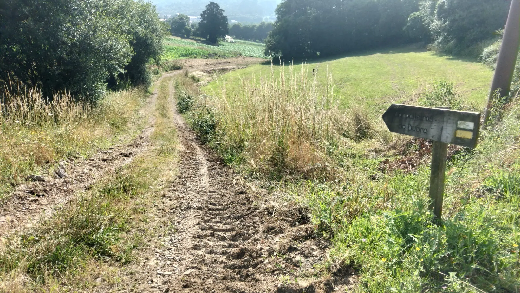 PR-G 202: Fervenza da Rexedoira