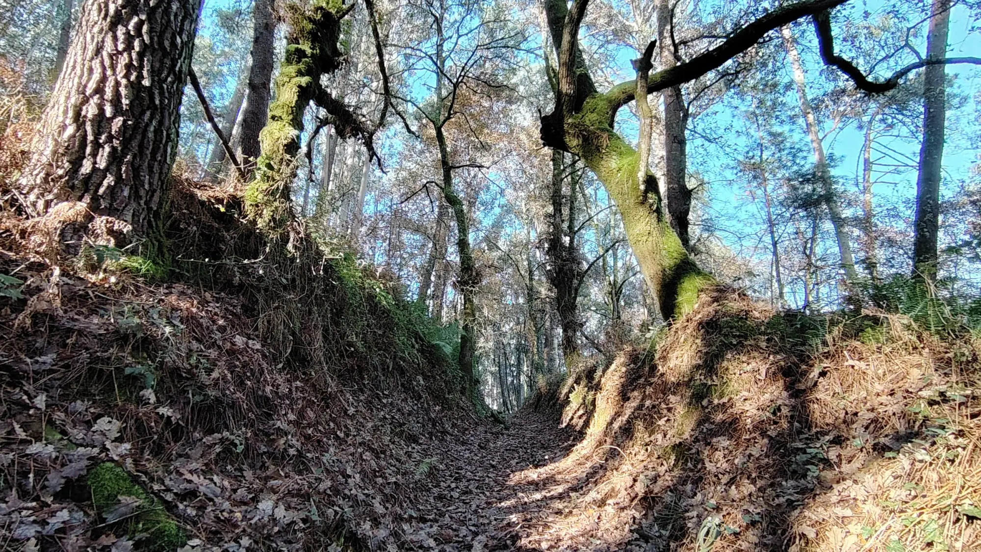 PR-G 196: Ruta de Castro