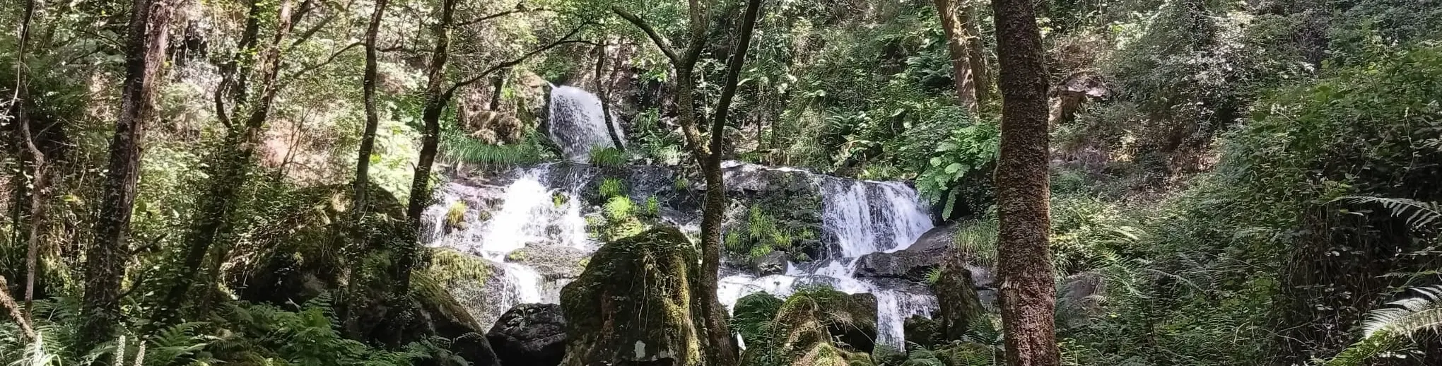 PR-G 202: Fervenza da Rexedoira