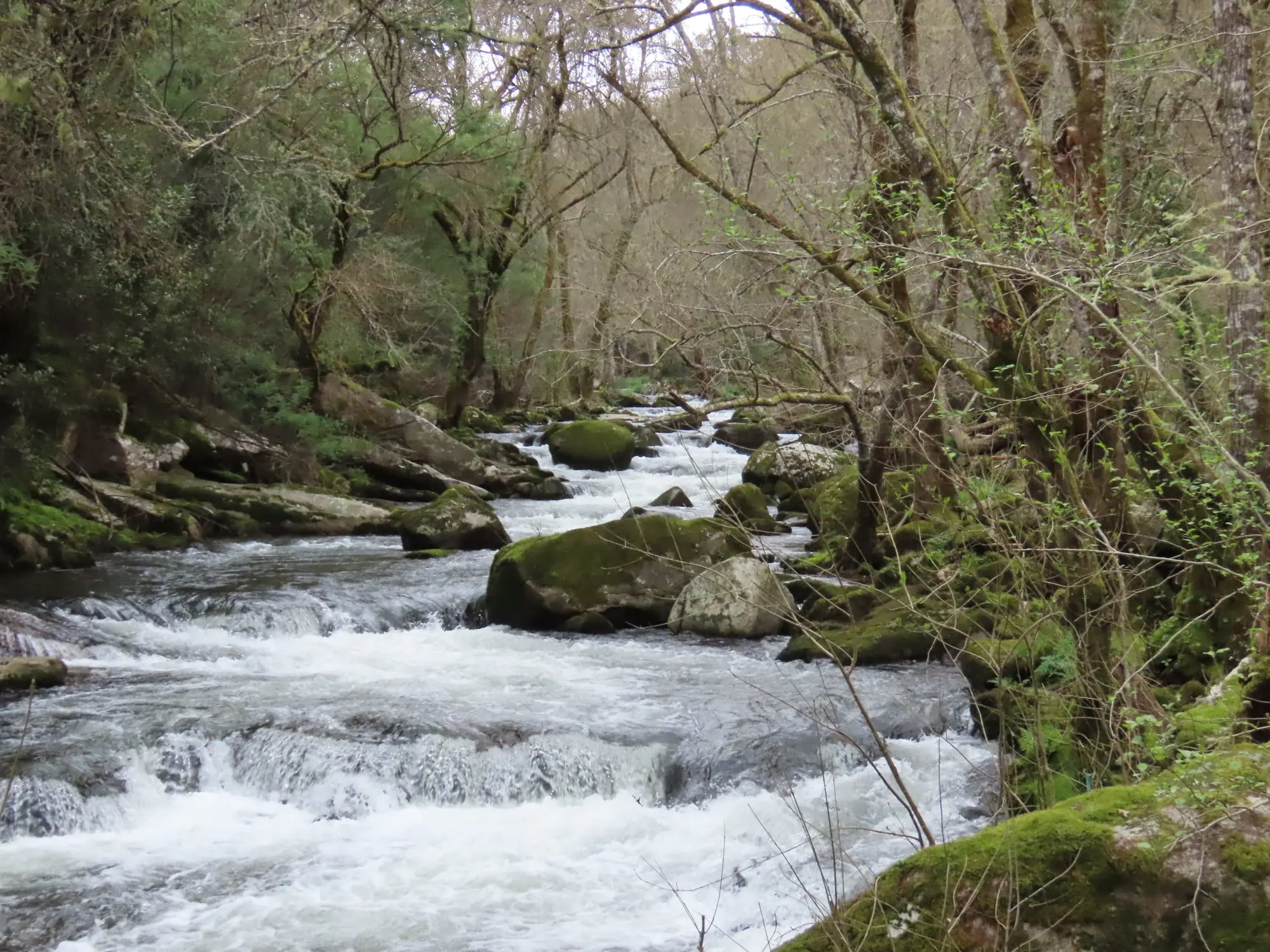 Del Ponte da Cruz al Pozo dos Fumes