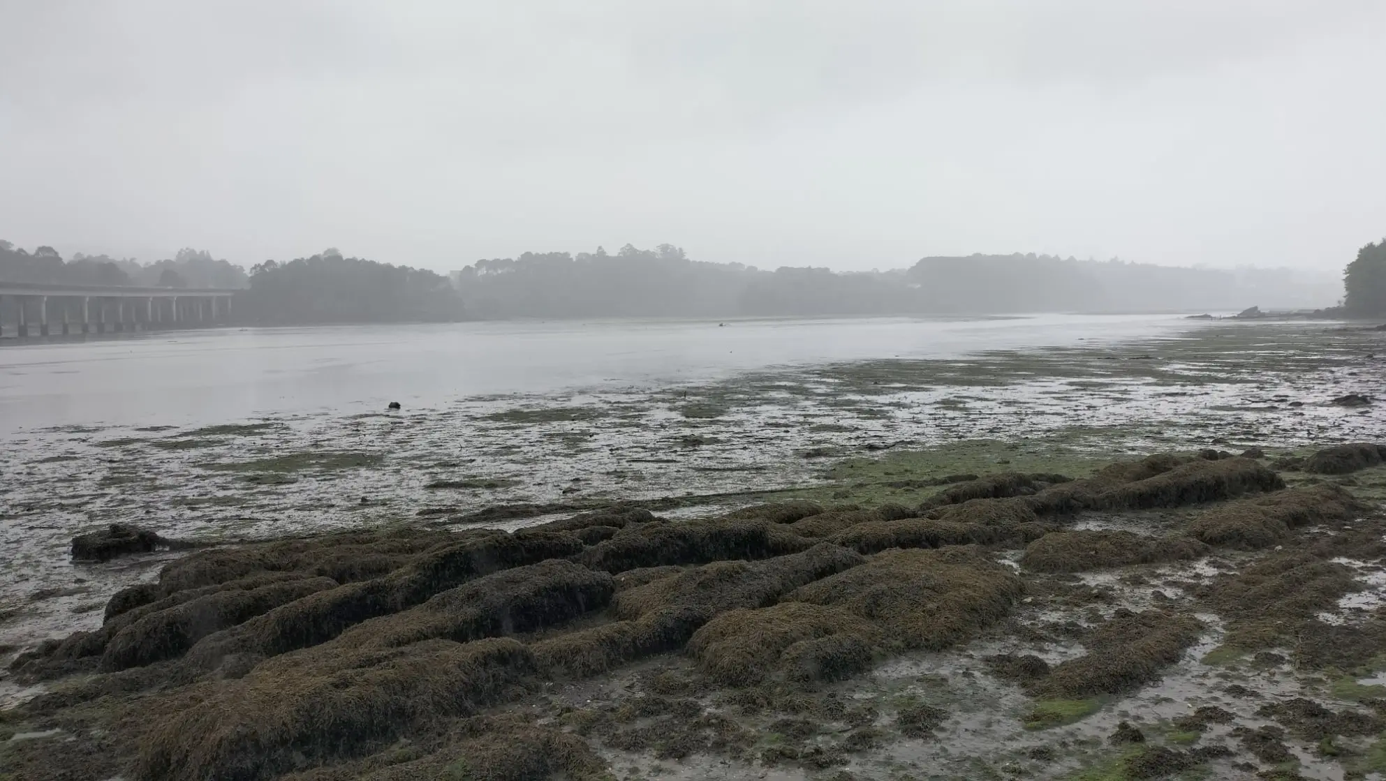 Senda litoral de Taragoña-Rianxo