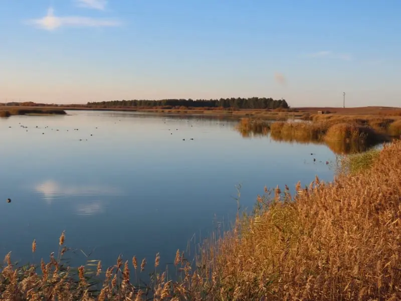 Lagunas de Alcázar de San Juan