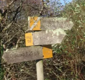 PR-G 196: Ruta de Castro