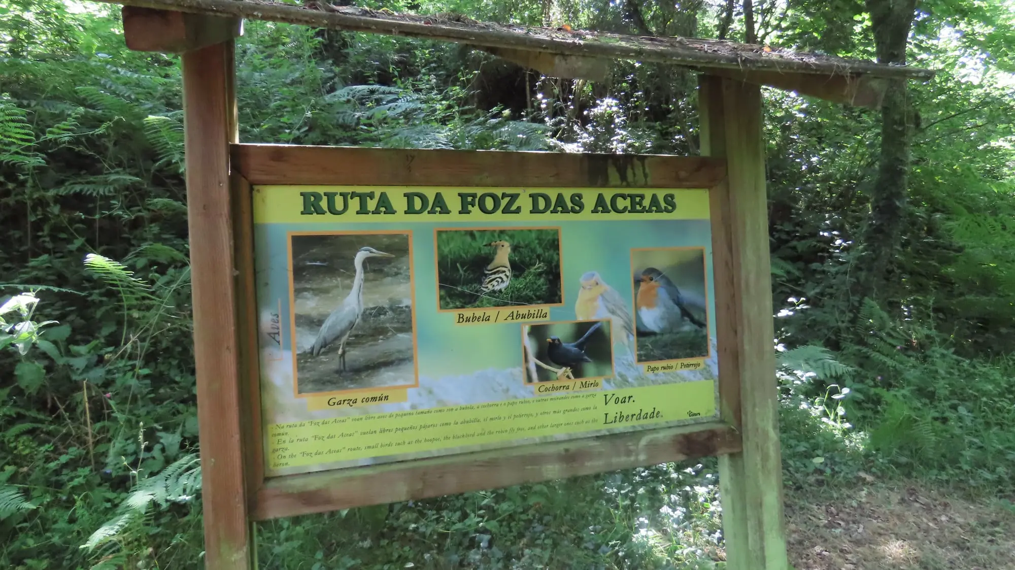 Ruta Foz das aceas