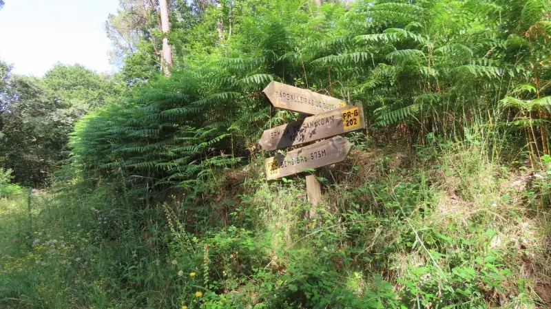 PR-G 202: Fervenza da Rexedoira