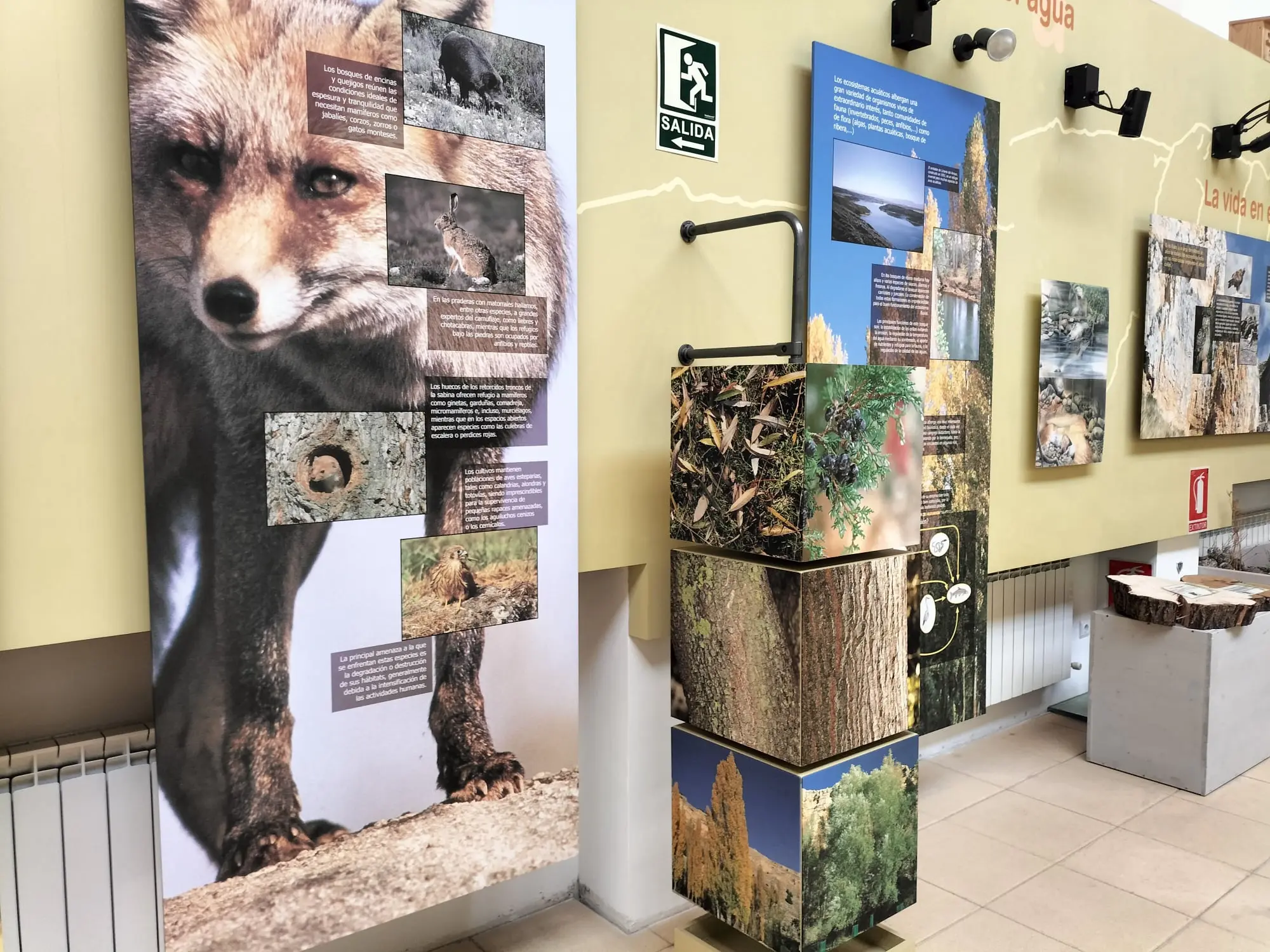 Casa del parque de las Hoces del río Riaza