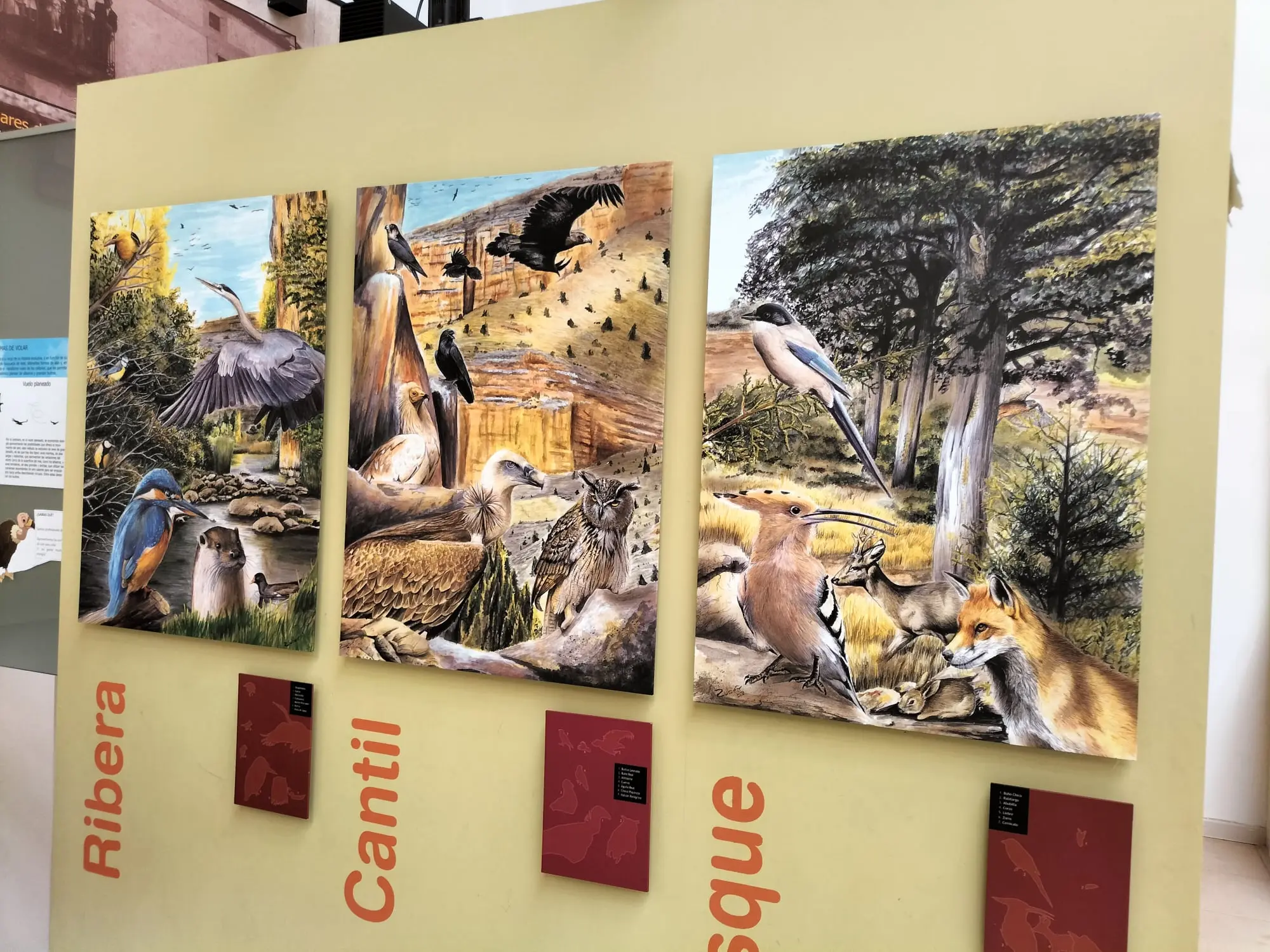 Casa del parque de las Hoces del río Riaza