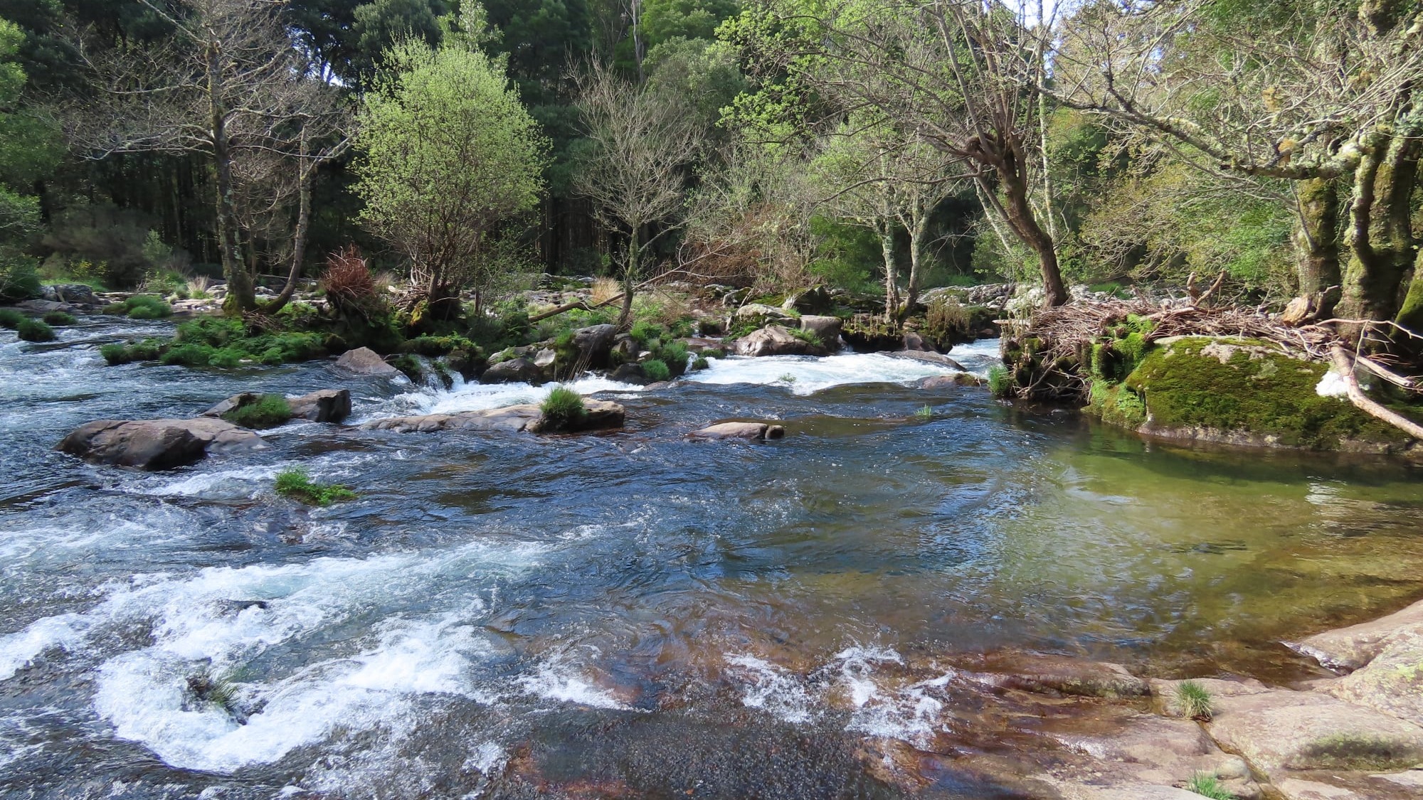 Caldeiras do Castro