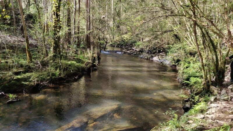 Sendero de As Ferrerías