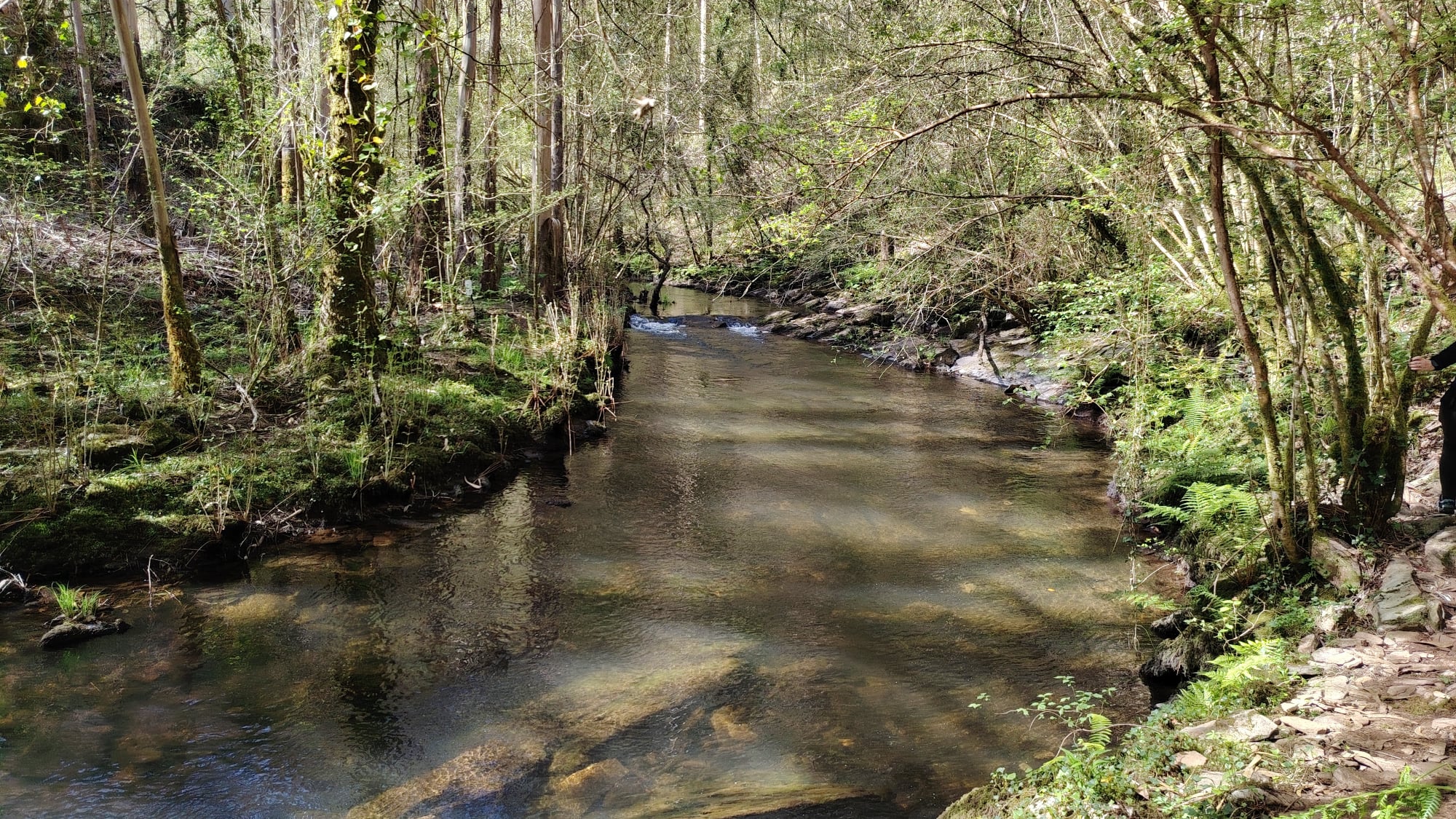 Sendero de As Ferrerías