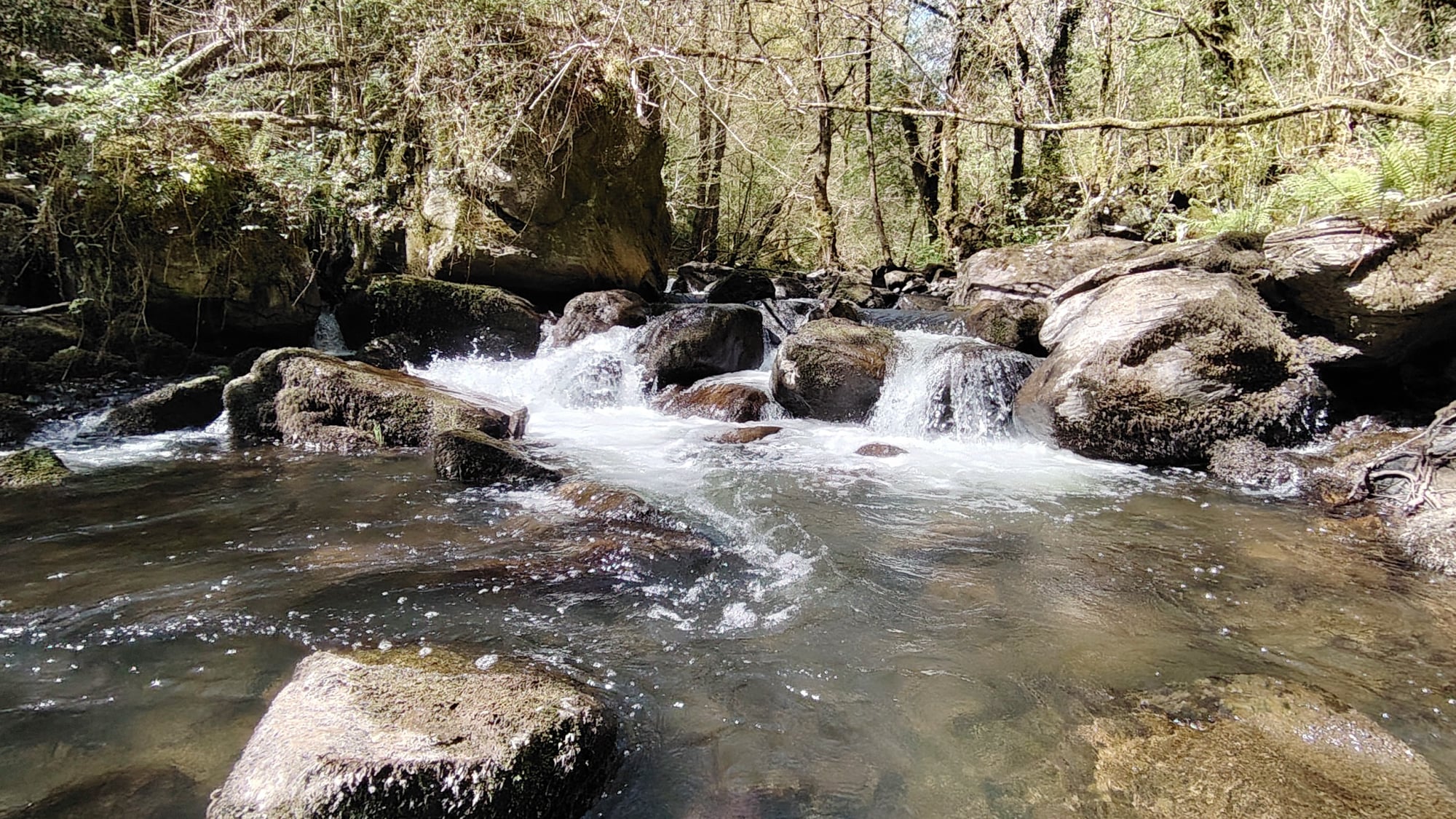 Sendero de As Ferrerías