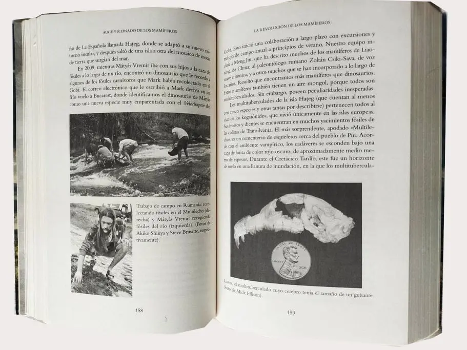 Auge y reinado de los mamíferos