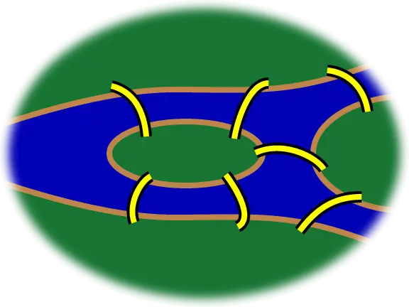 Los siete puentes de Konigsberg