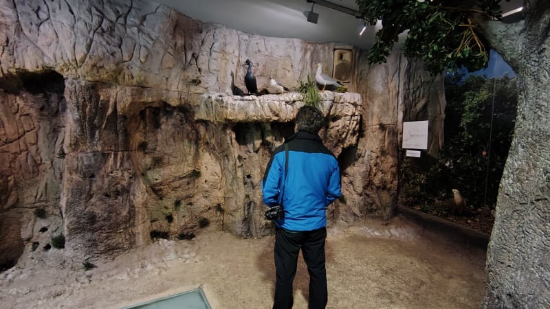 Centro de Interpretación del Parque Natural de las marismas de Santoña, Victoria y Joyel