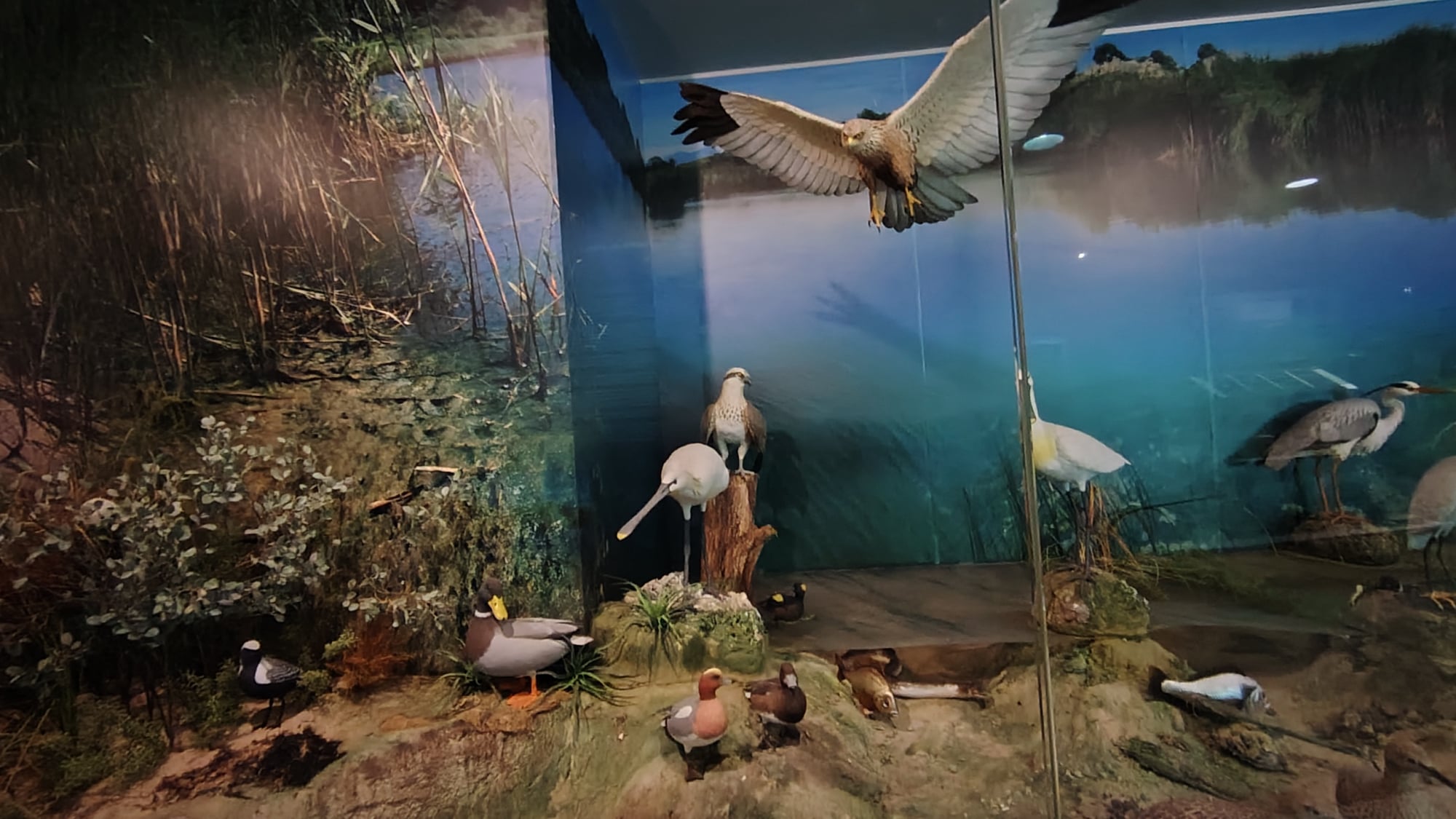 Centro de Interpretación del Parque Natural de las marismas de Santoña, Victoria y Joyel