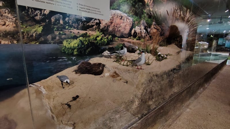 Centro de Interpretación del Parque Natural de las marismas de Santoña, Victoria y Joyel