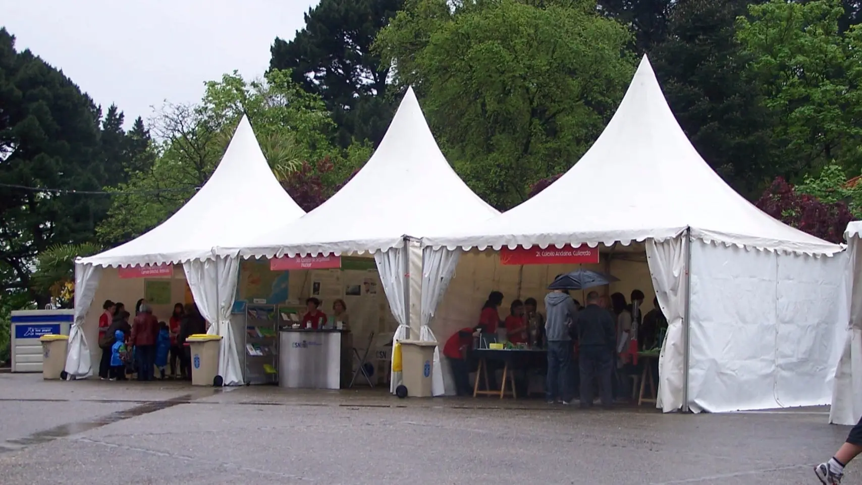Día de la Ciencia en la Calle